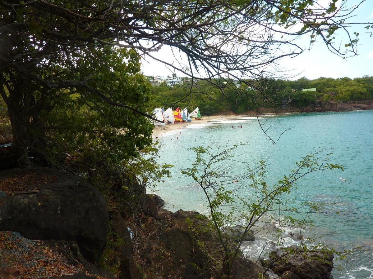 Cottage La Pointe Marine Deshaies Exterior photo